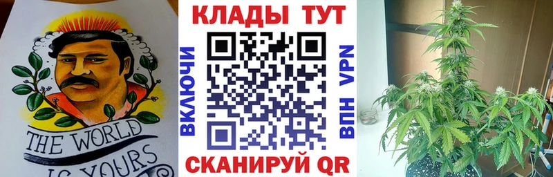 Наркота Пустошка Кокаин  Меф  ГАШИШ  Канабис 