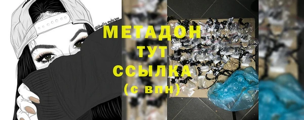 стаф Аркадак