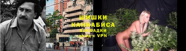 стаф Аркадак