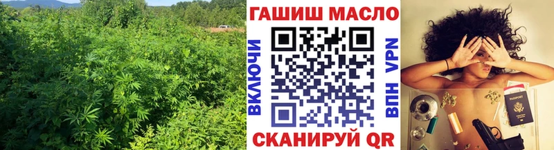 ТГК жижа  где можно купить   Пустошка 